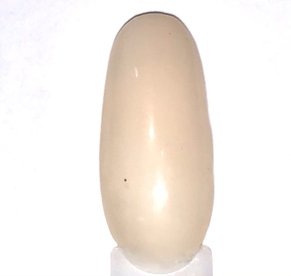 MAX NAIL SYSTEM COSTRUTTORE-cover ivory 30g - immagine 3